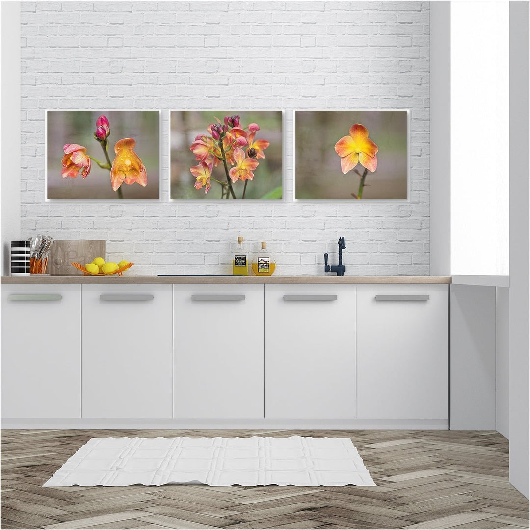 Ground Orchid Collection - Set of 3