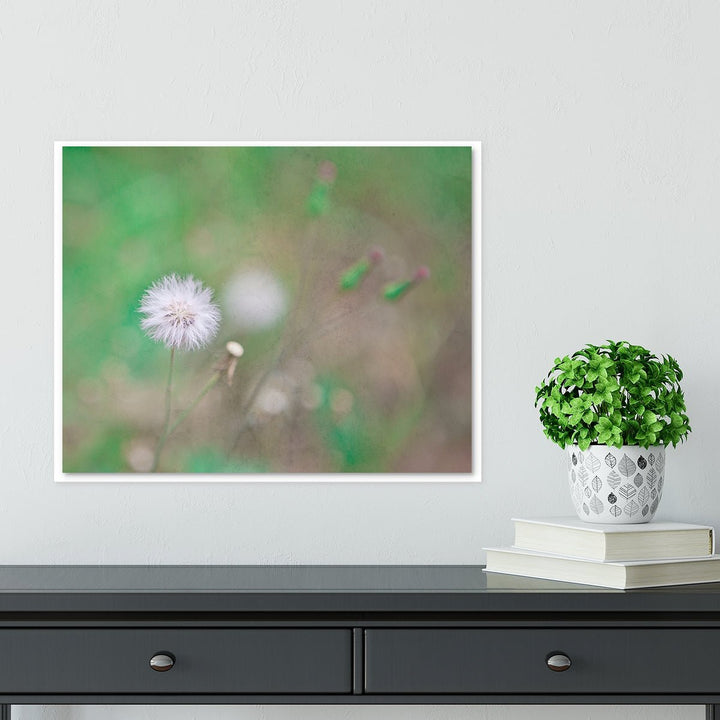 Green Dandelion #2