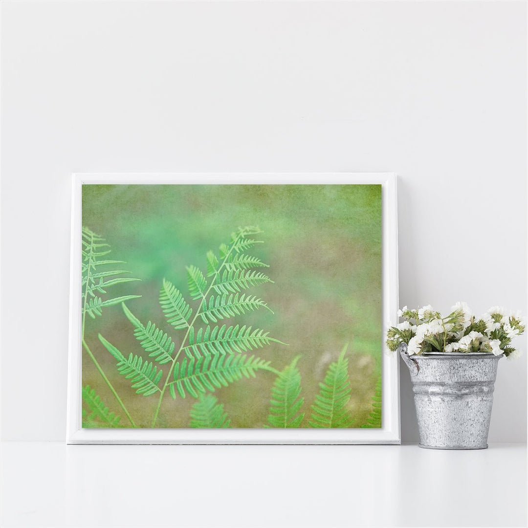 Fern #2