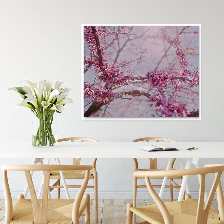 Cherry Blossom #2