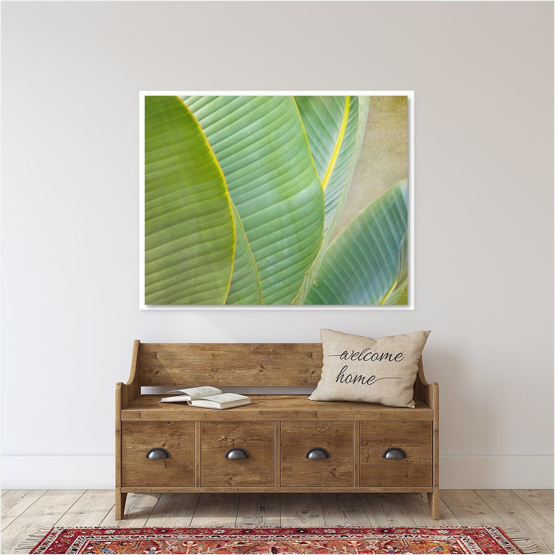 Banana Leaf #4