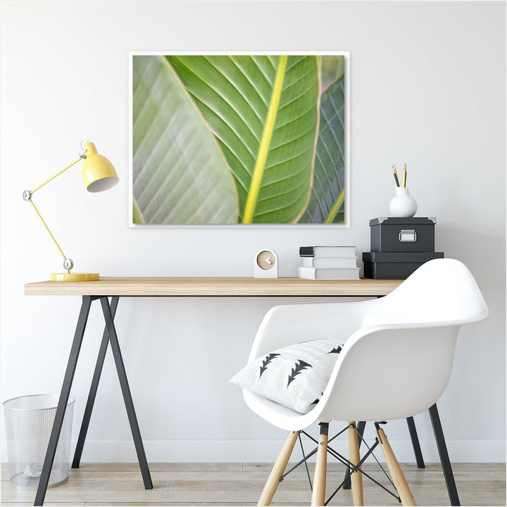 Banana Leaf #3