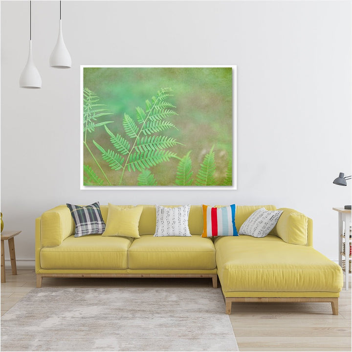 Fern #2