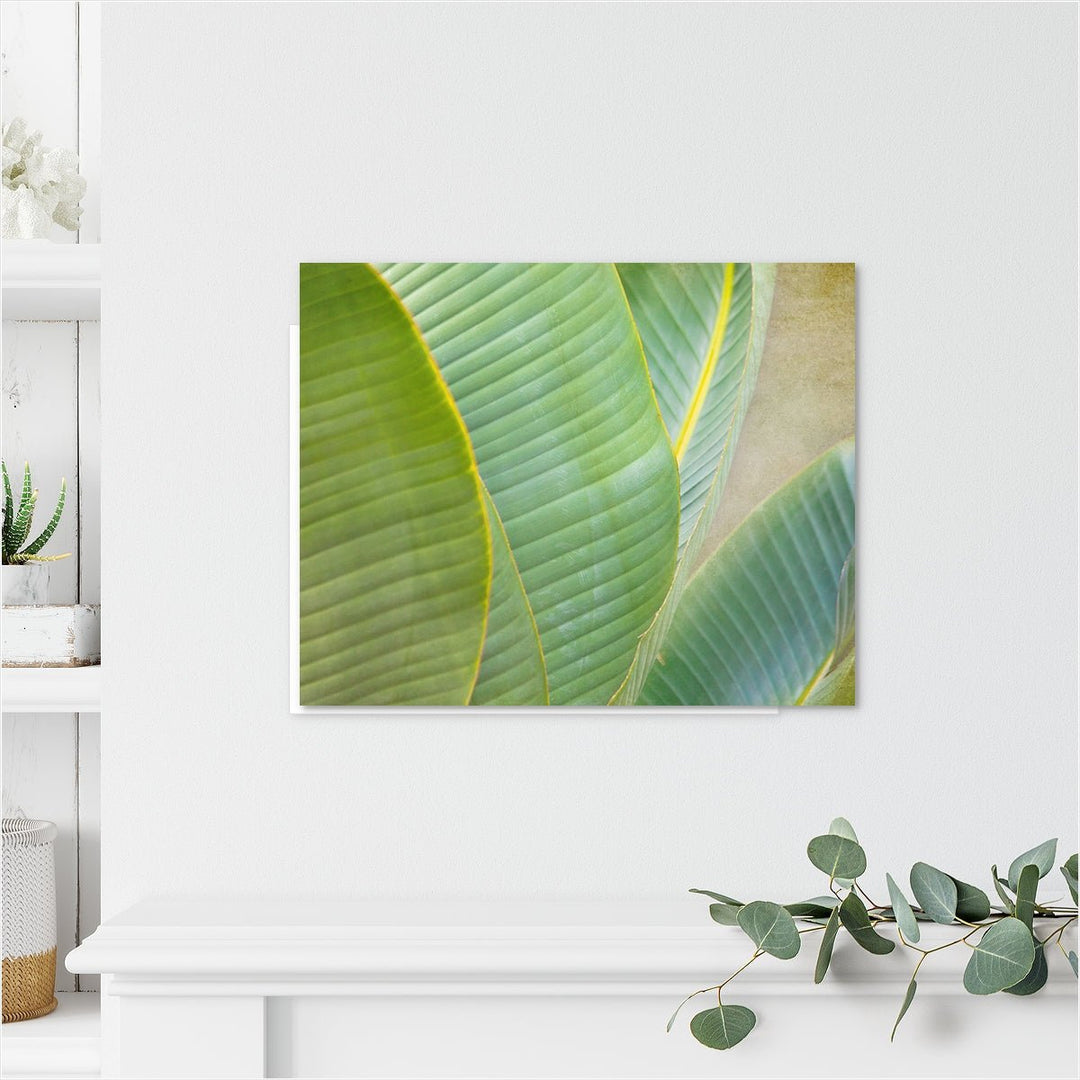 Banana Leaf #4
