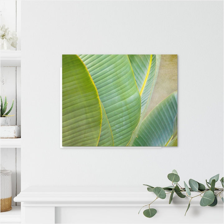 Banana Leaf #4