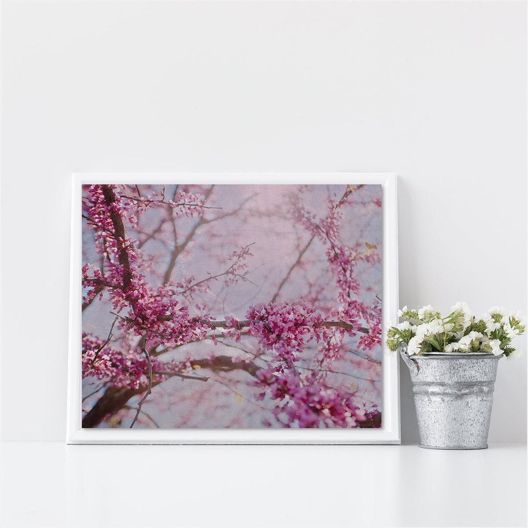 Cherry Blossom #2