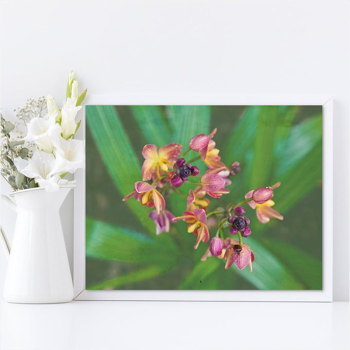 Ground Orchid #3
