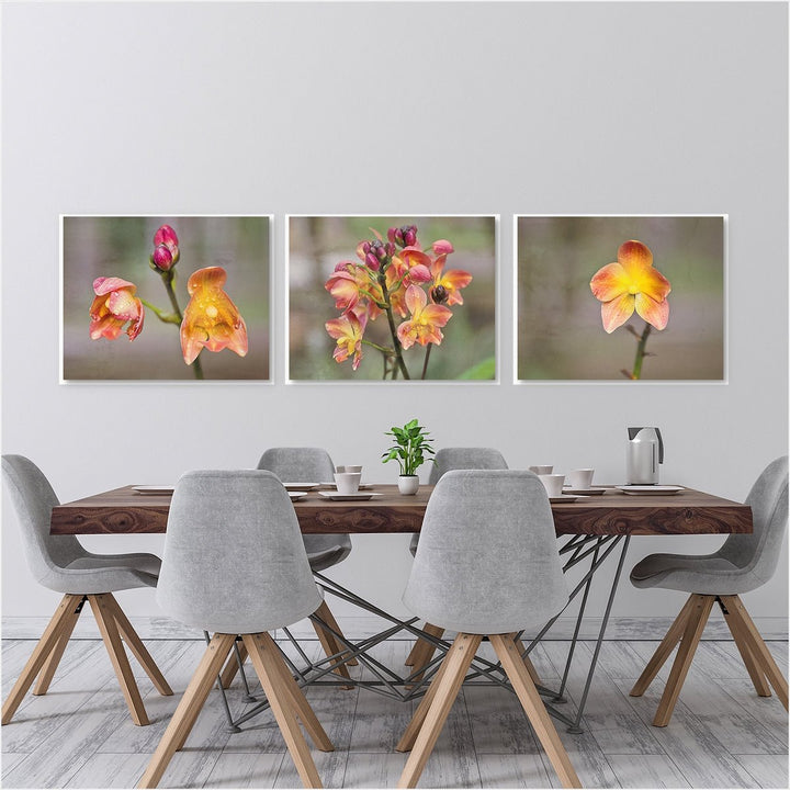 Ground Orchid Collection - Set of 3