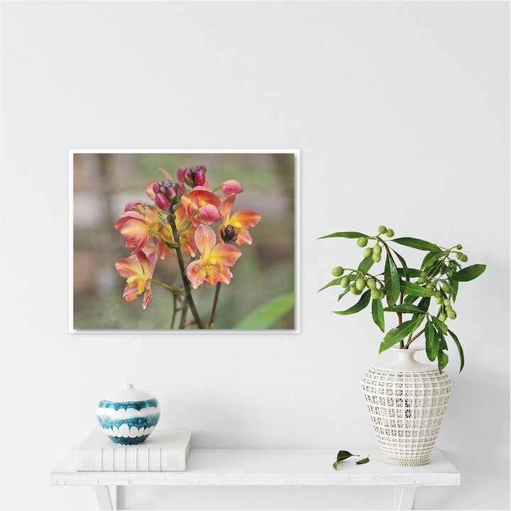 Ground Orchid #2