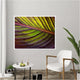 Tropical Leaf #1 - Art Print or Canvas