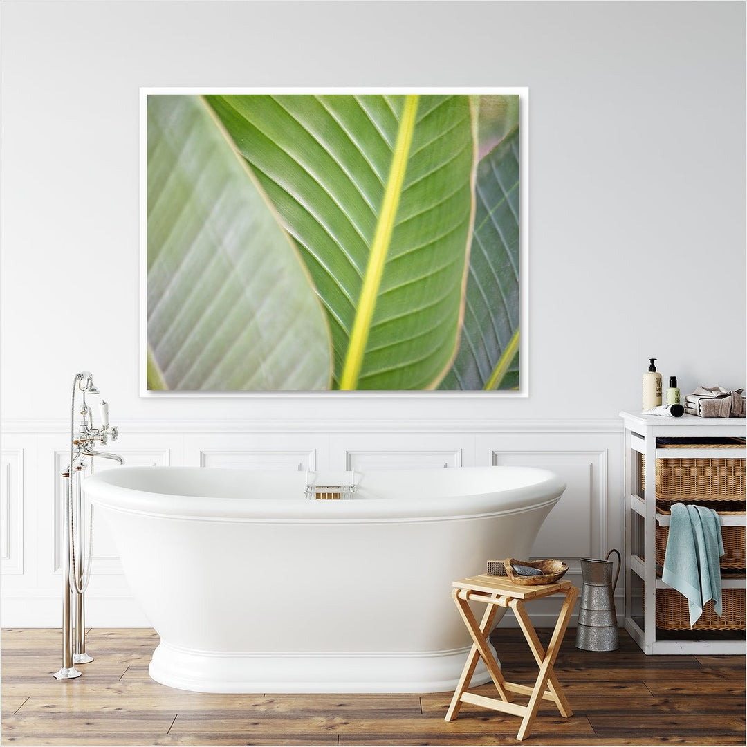 Banana Leaf #3