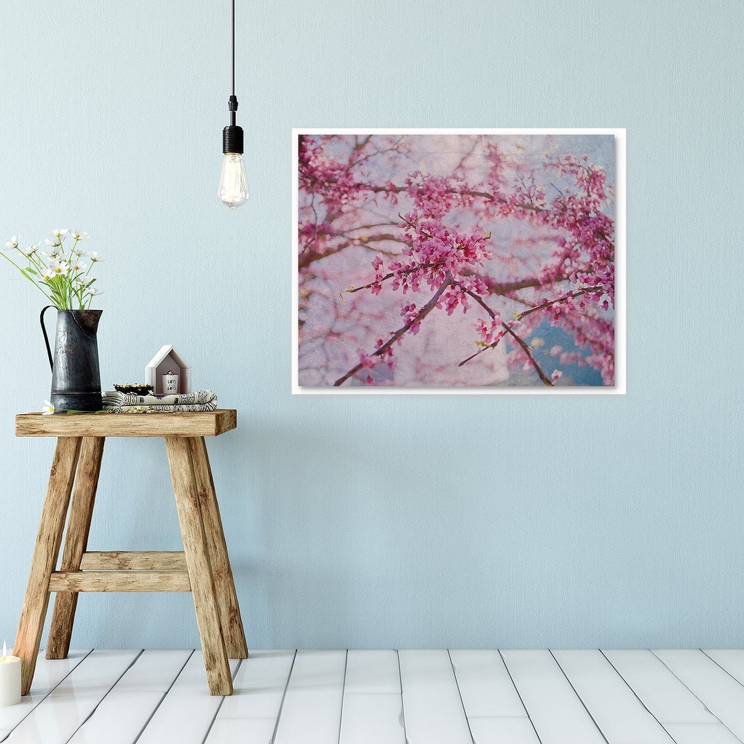 Cherry Blossom #1