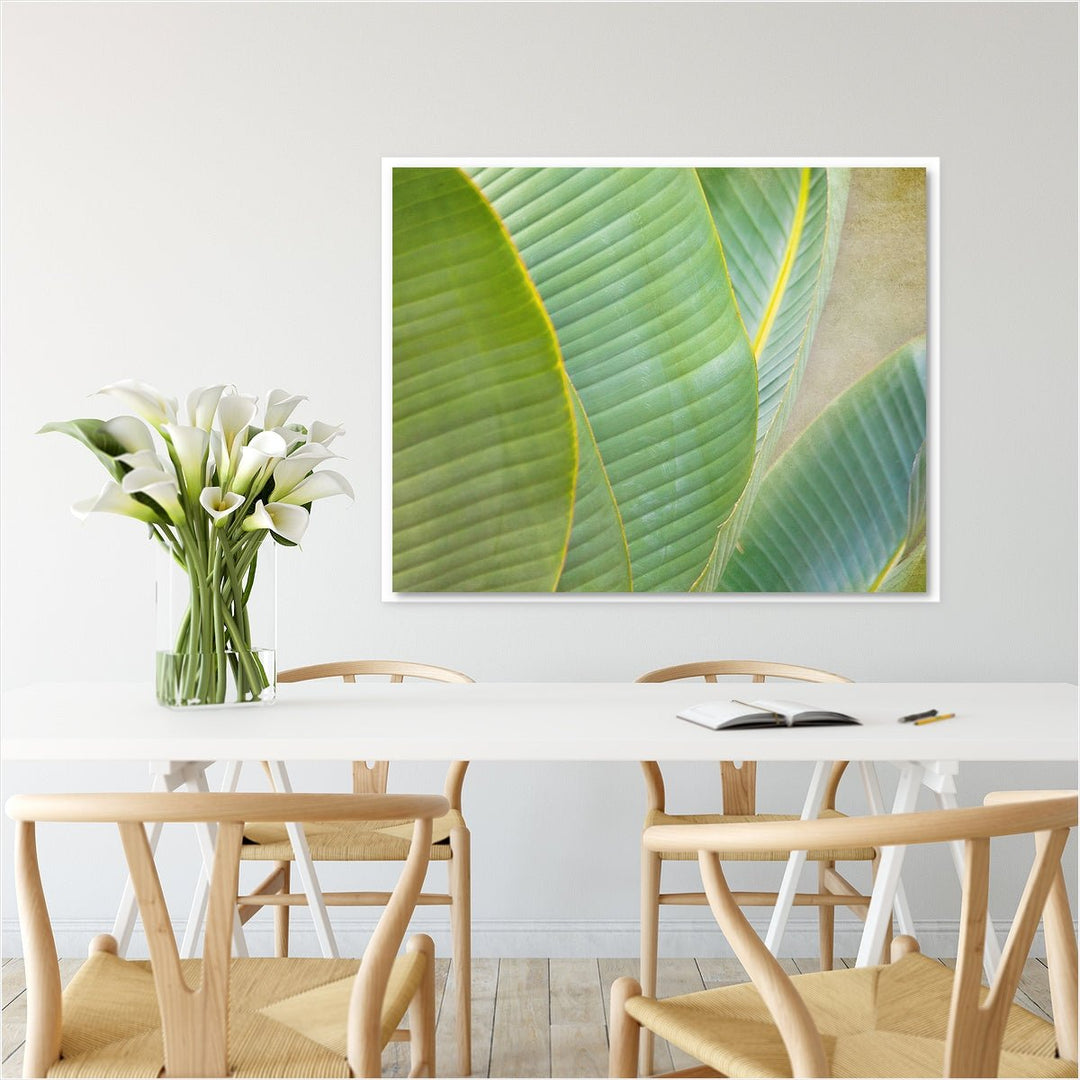 Banana Leaf #4