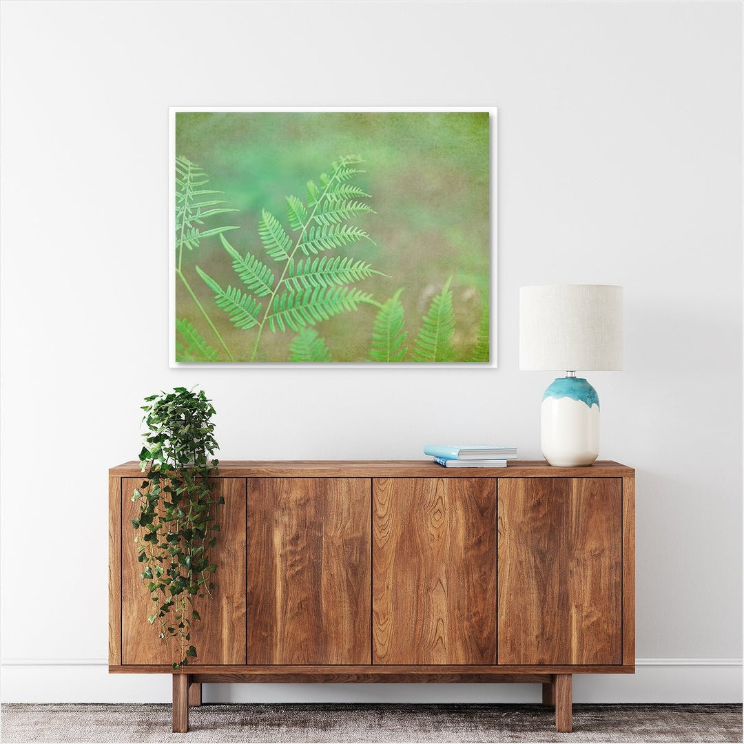 Fern #2