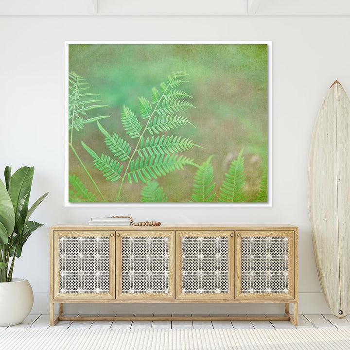 Fern #2