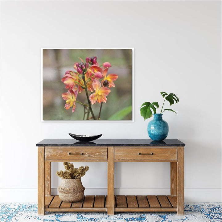 Ground Orchid #2