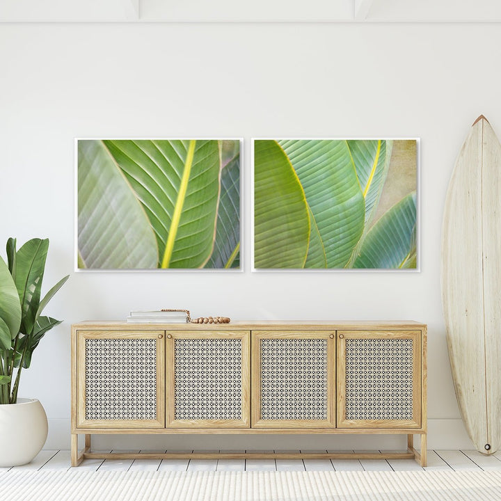 Banana Leaf Collection 2 - Set of 2
