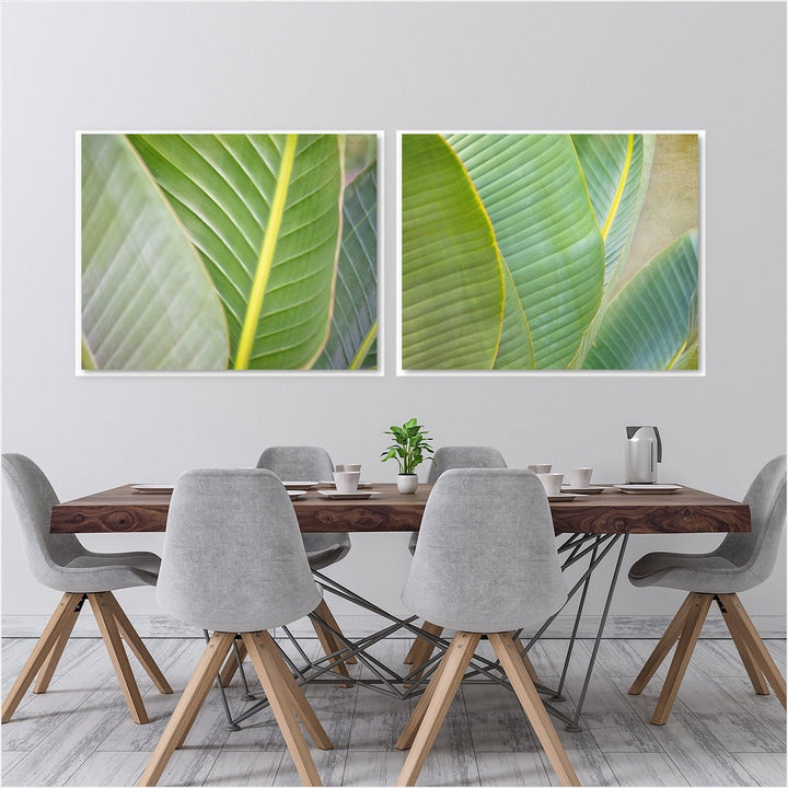 Banana Leaf Collection 2 - Set of 2