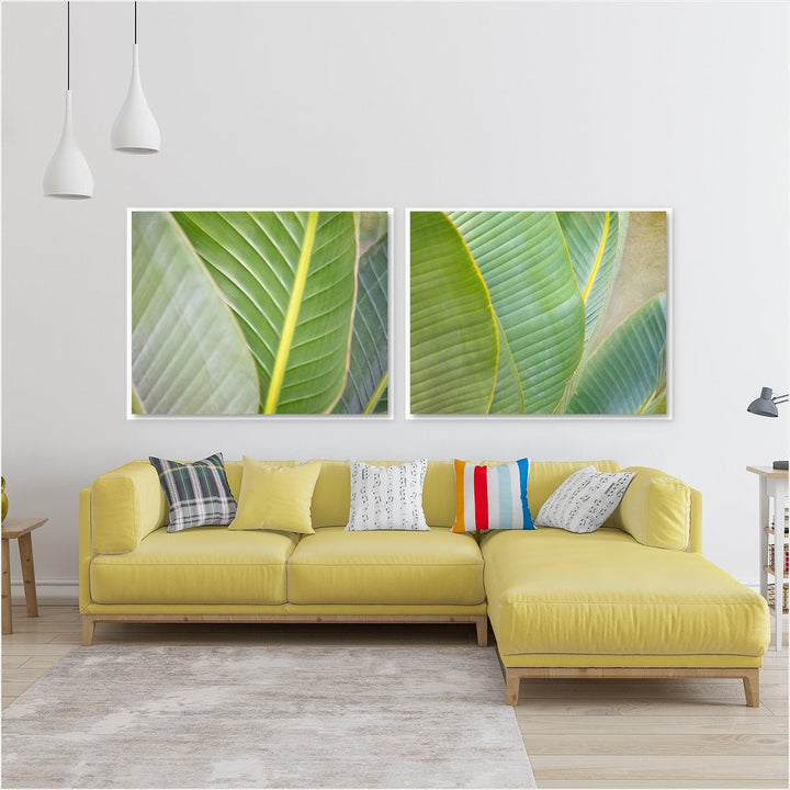 Banana Leaf Collection 2 - Set of 2
