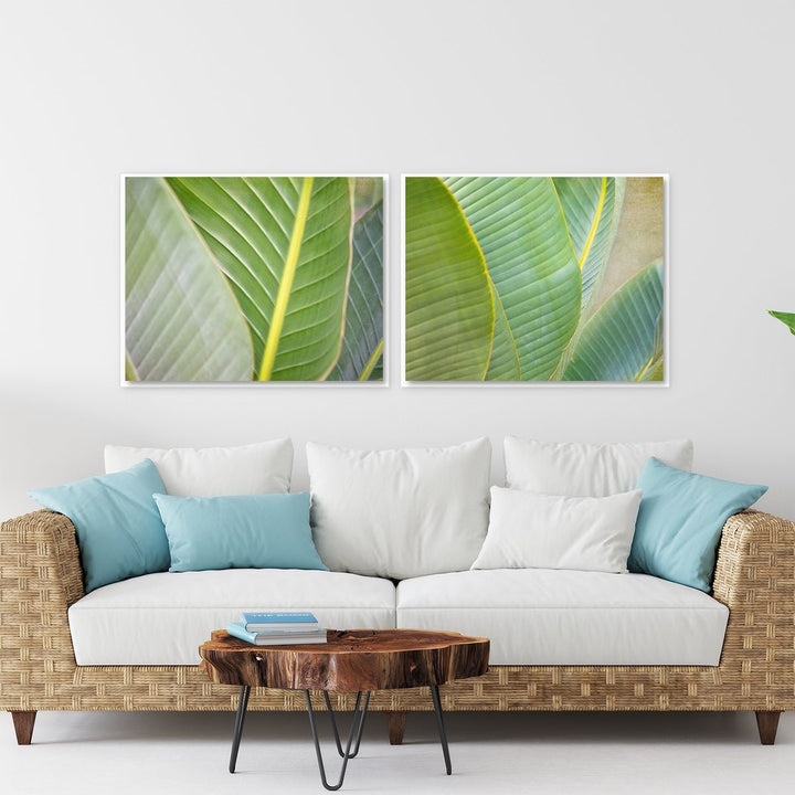 Banana Leaf Collection 2 - Set of 2