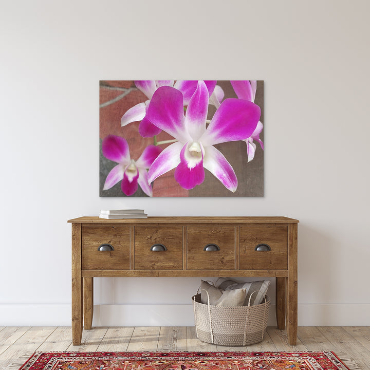 Pink & White Dendrobium - #13 Horizontal