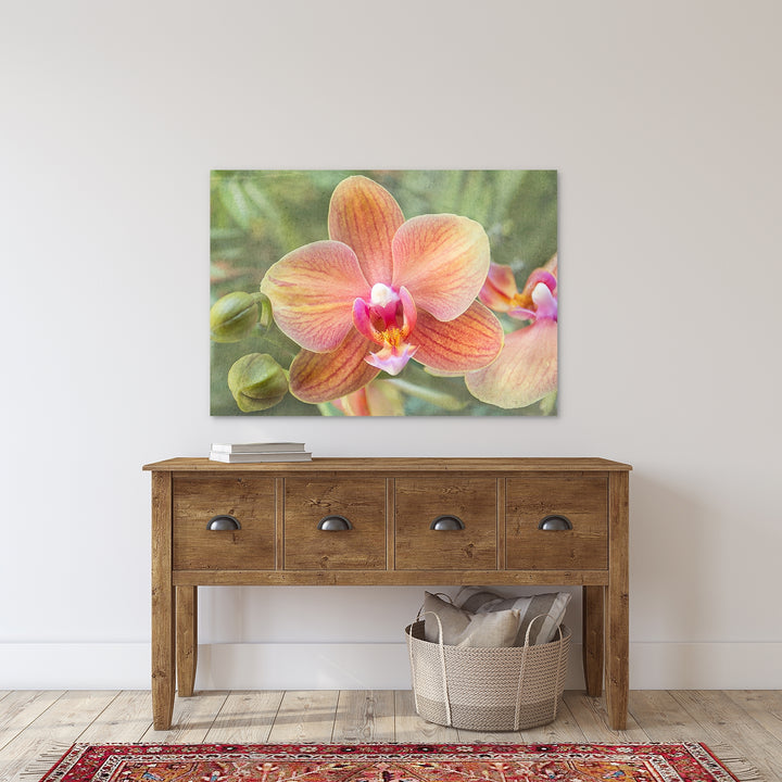 Orange Moth Orchid - #8 Horizontal