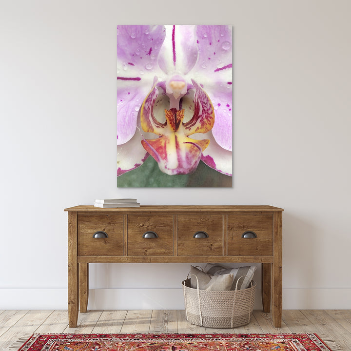 Pink & White Orchid - #12 Vertical