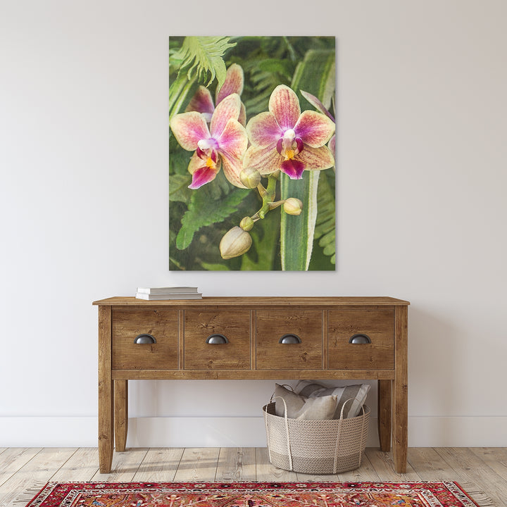 Pink & Yellow Moth Orchid - #21 Vertical