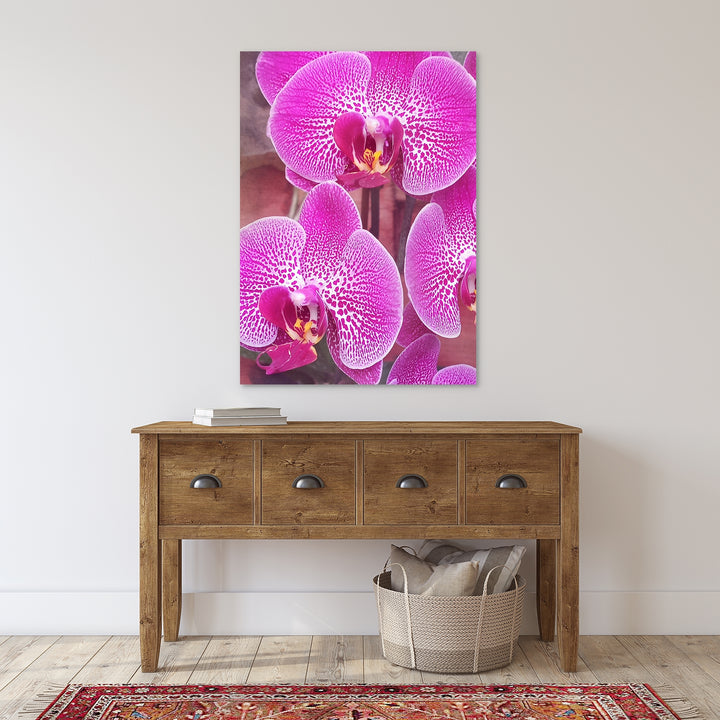 Bright Pink Moth Orchid - #3 Vertical