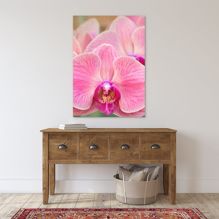 Bright Pink Orchid Moth - #5 Vertical