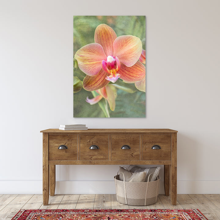 Orange Moth Orchid - #8 Vertical