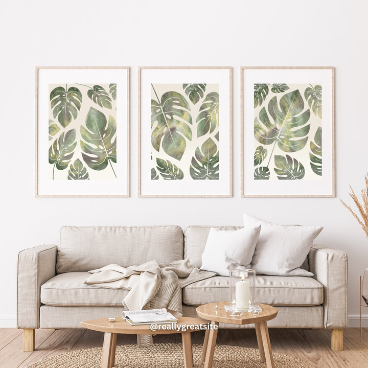 Monstera Deliciosa - set of 3