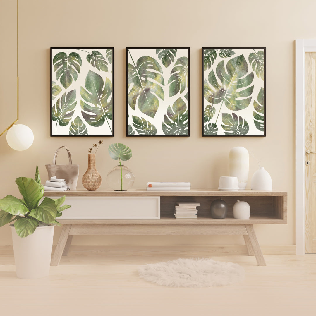 Monstera Deliciosa - set of 3