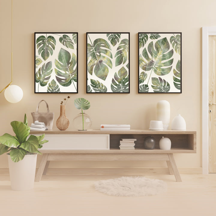 Monstera Deliciosa - set of 3