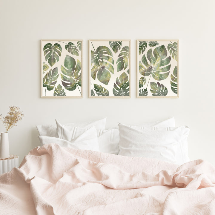 Monstera Deliciosa - set of 3