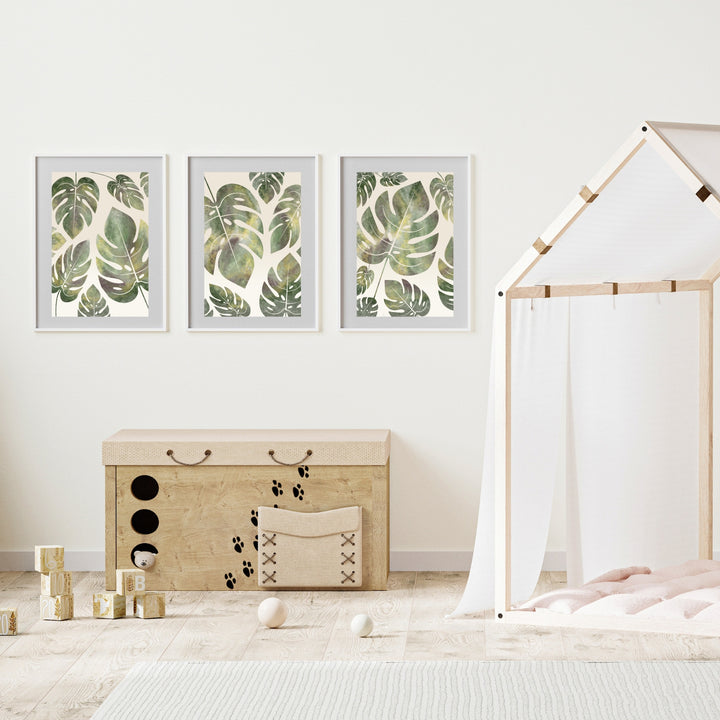 Monstera Deliciosa - set of 3