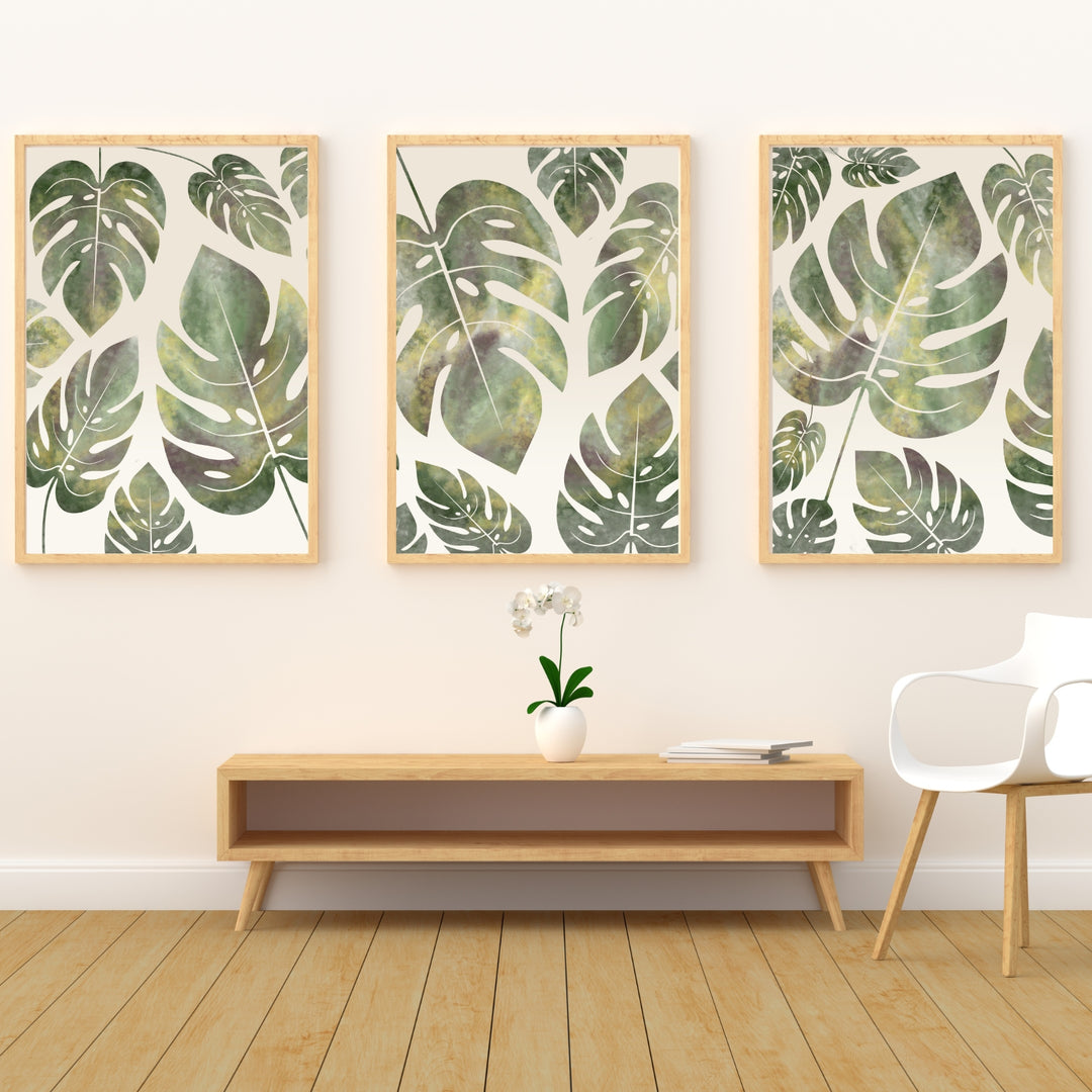 Monstera Deliciosa - set of 3