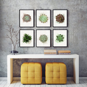 Watercolor Succulents - set of 6