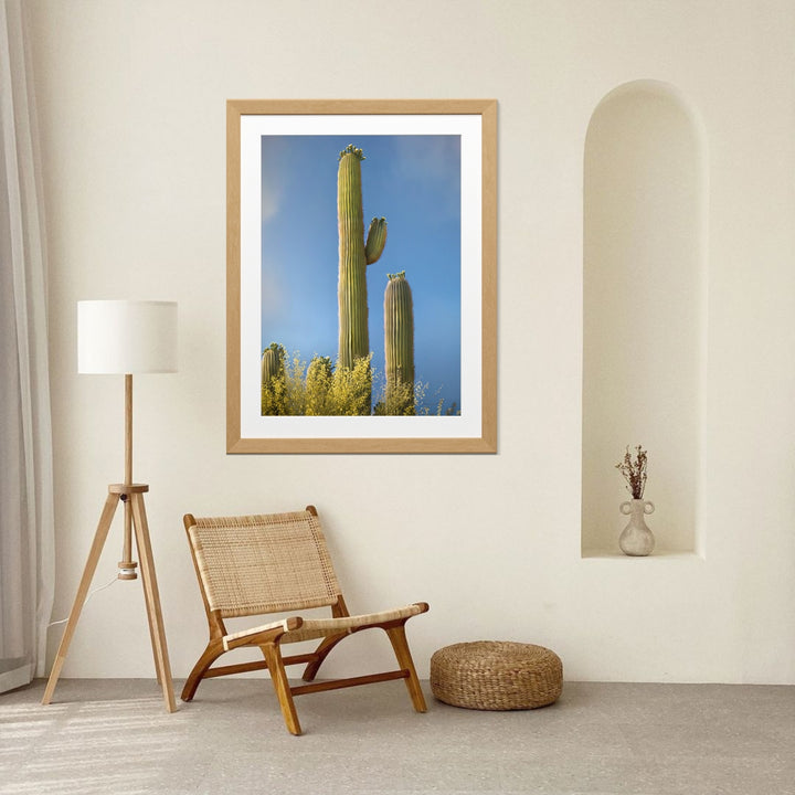 Stately Saguaro