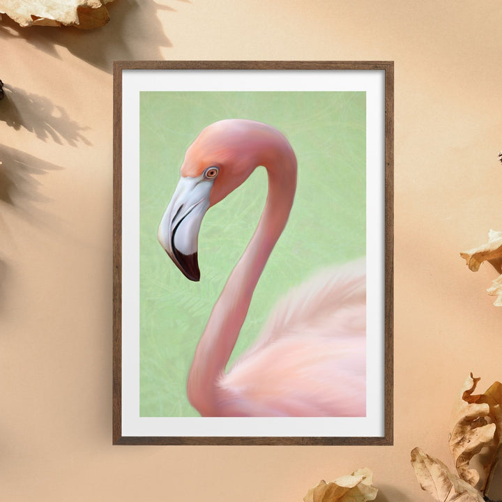 Pink Plumage