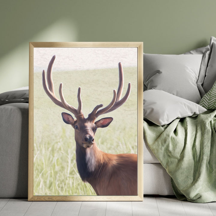 Stately Rocky Mountain Elk