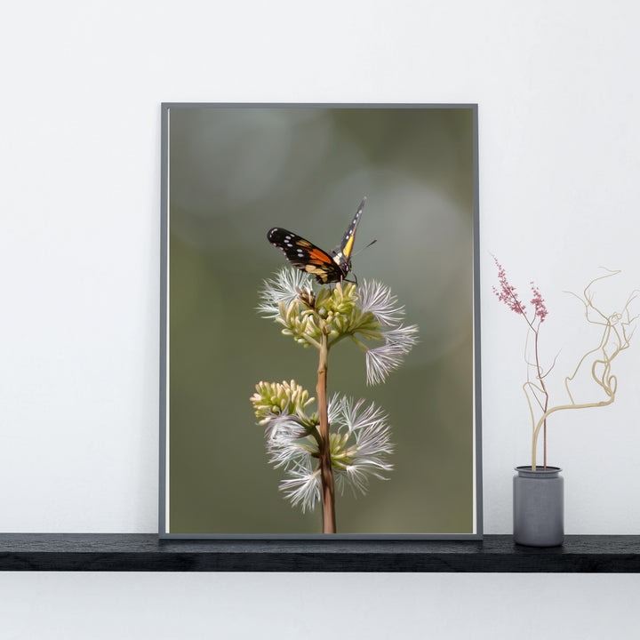Fluttering Feast