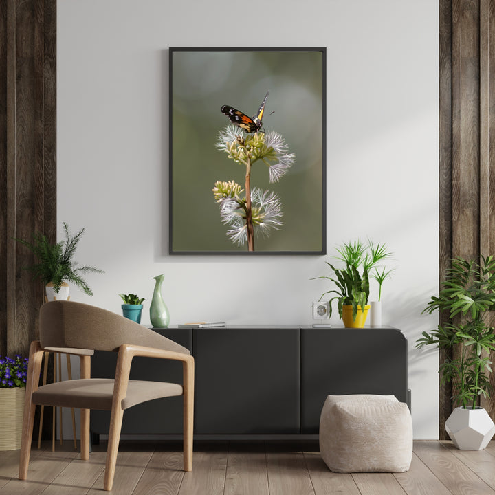 Fluttering Feast