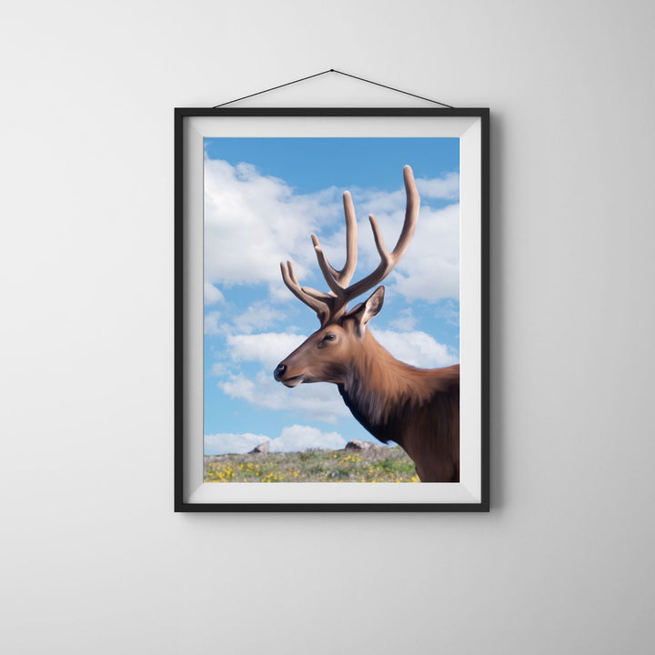 Tundra Elk Stag
