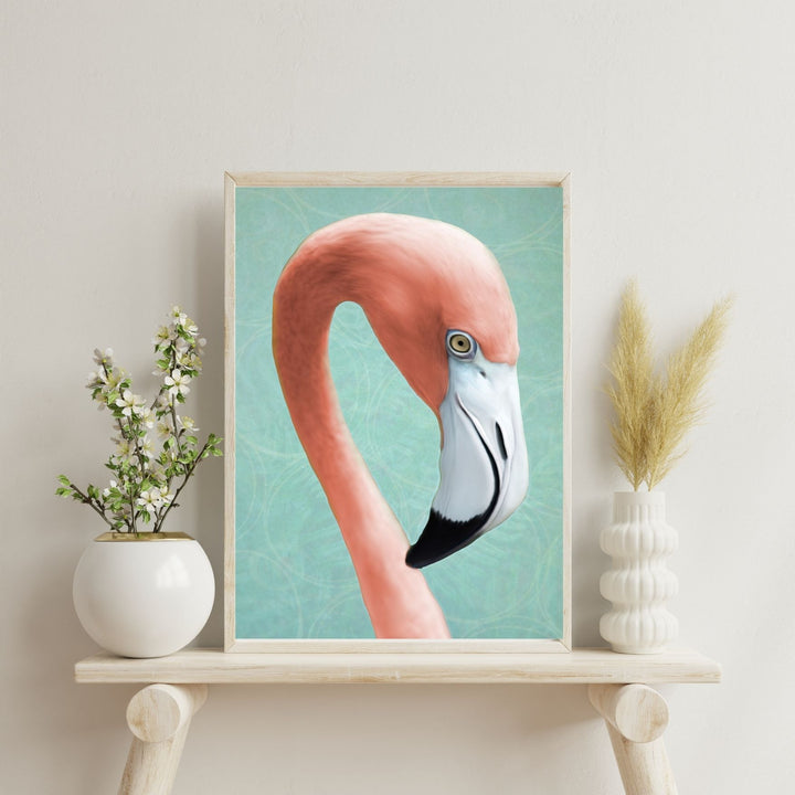Flamingo Closeup