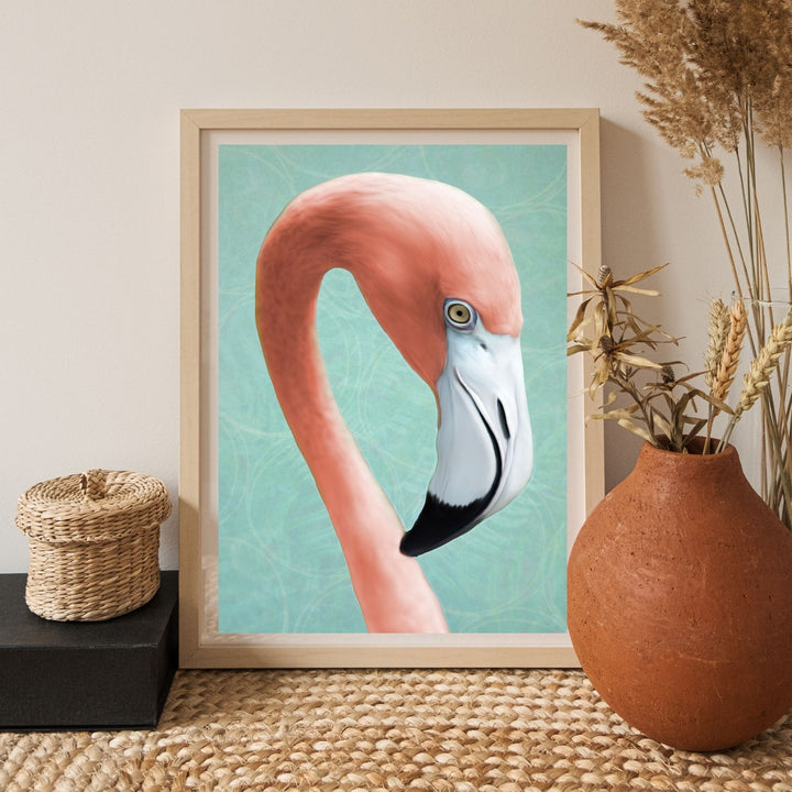 Flamingo Closeup