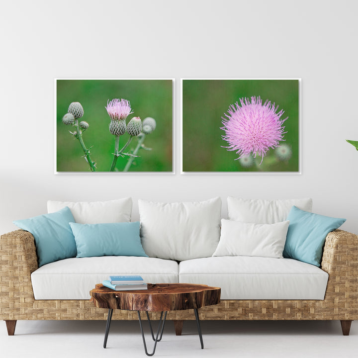 Thistle Collection 3 - Set of 2