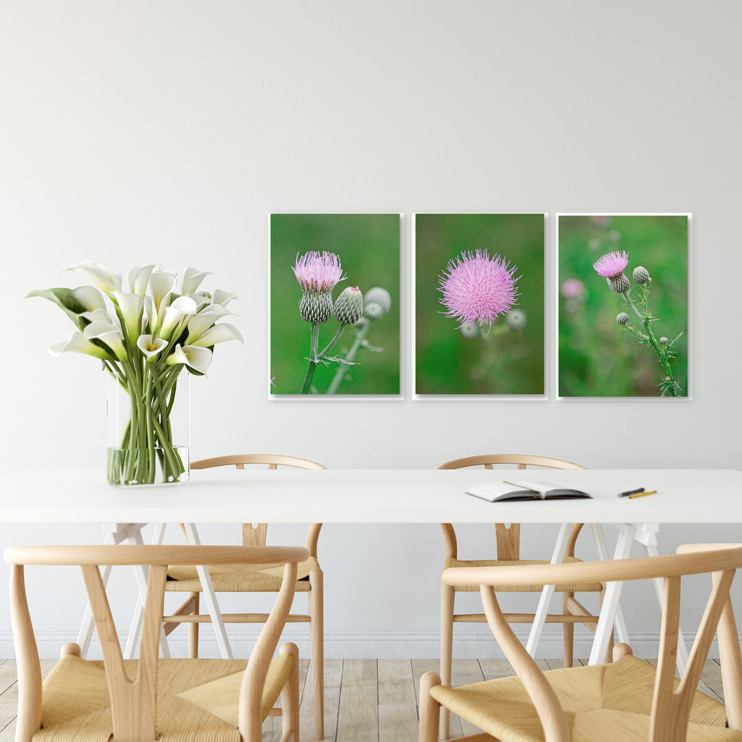 Thistle Collection #4 - Set of 3
