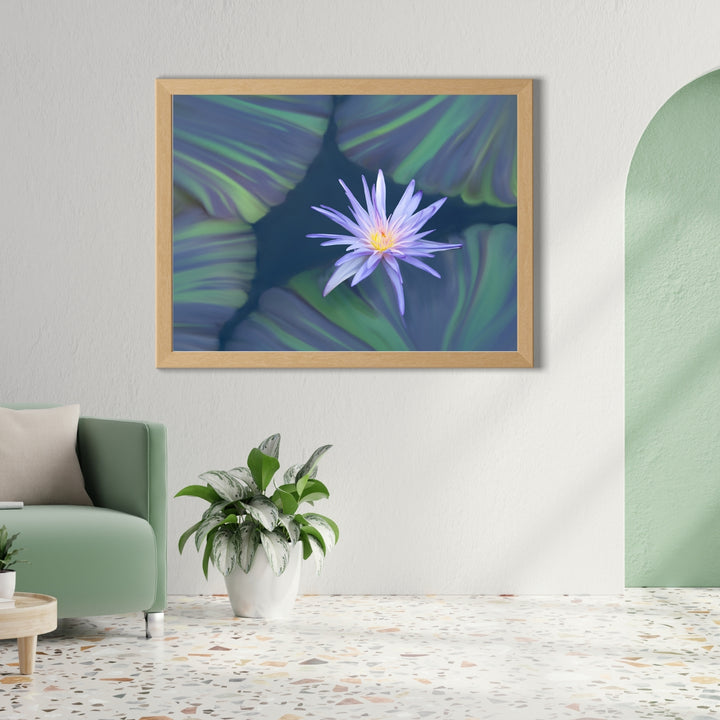 Lavender Water Lily