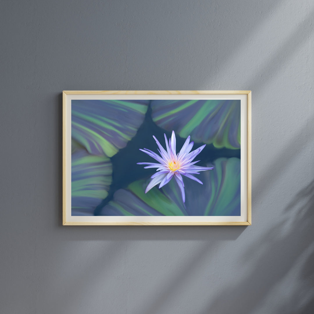 Lavender Water Lily